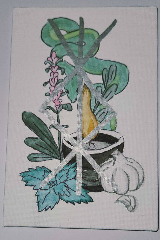 Illustration of herbs and garlic on a white background